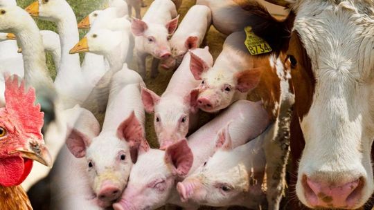 Kolejny nabór na „Zarządzanie ryzykiem”