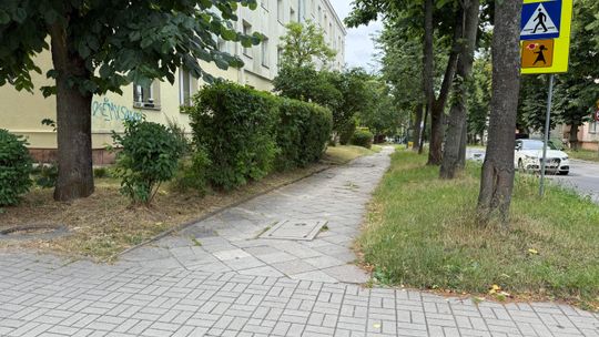 Kolejny odcinek chodnika na Marszałkowskiej w Kielcach przejdzie modernizację