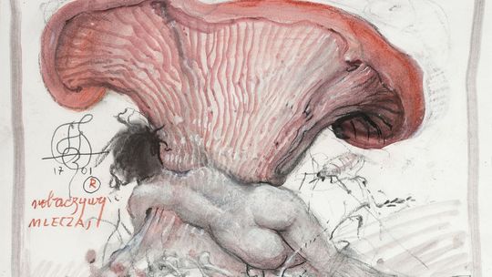 "Kolory życia" z bogatej kolekcji Marii i Marka Pileckich