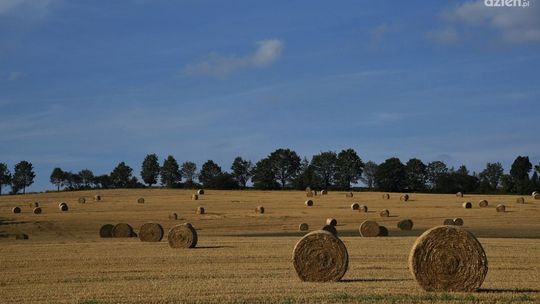 Kończą się żniwa.. rolnicy niezadowoleni