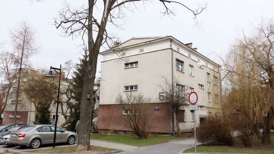 Konieczne usunięcie dwóch drzew na ul. Kostki