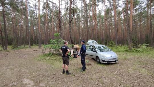 Kontrola obozów harcerskich