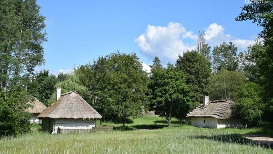 Kosz przysmaków dla dzieciaków