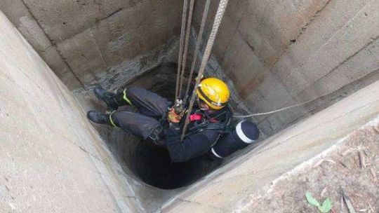 Koza utknęła w studni. Uratowali ją strażacy