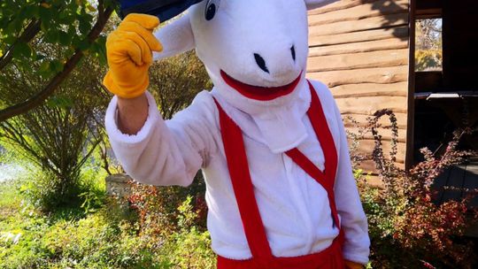 Koziołek Matołek zaprasza na konkurs !