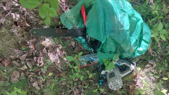 Kradzież na zielonym tle