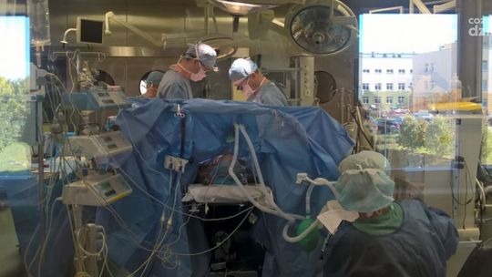 Krew potrzebna od zaraz! 