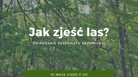 Krzemionki. Wraca cykl sobota w muzeum