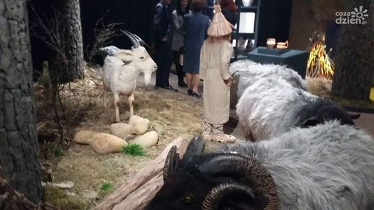 Krzemionki zachwycają nie tylko podziemnymi skarbami