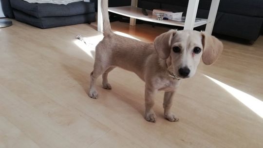 Kundelki dziś świętują!