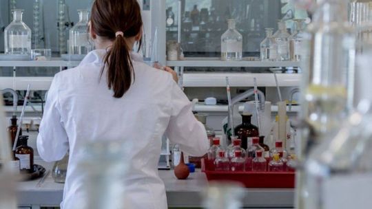 Laboratorium w Podzamczu szuka diagnostyków i biotechnologów