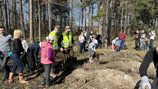 „Lasy Pełne Energii”