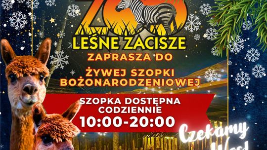 Leśne Zacisze zaprasza do odwiedzania szopki z żywymi zwierzętami 