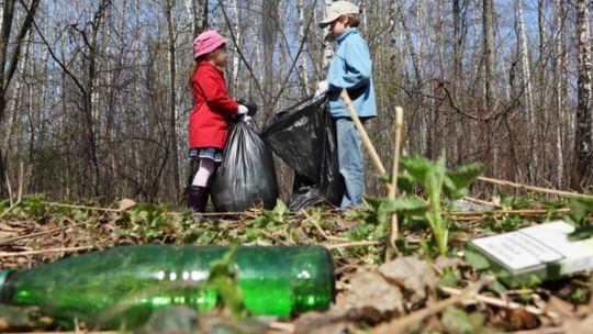 Leśnicy zapraszają do wspólnego sprzątania lasu 