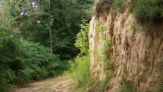 Lessowe drogi będą zabezpieczone 