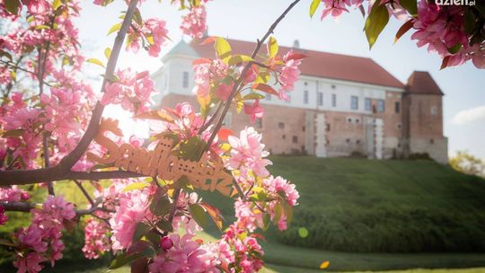 "Letnie Czwartki" w Muzeum Zamkowym w Sandomierzu