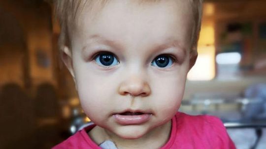 Lilka walczy ze złośliwym nowotworem