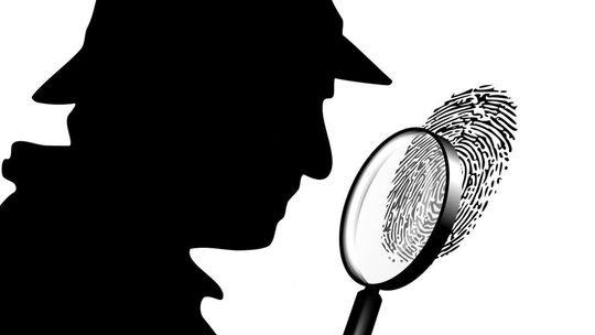 M. Kobyłecki: głównie rozwody i sprawy gospodarcze są przedmiotem działań detektywów