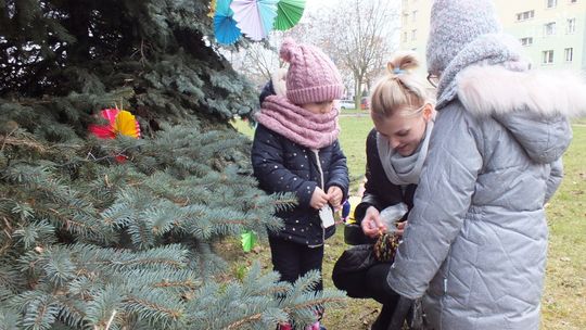 Magiczny czas na Ogrodach