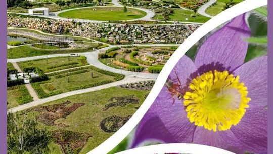 Majówka w Ogrodzie Botanicznym w Kielcach