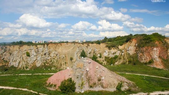 Makabryczne odkrycie w rezerwacie Wietrznia w Kielcach – policja prowadzi śledztwo