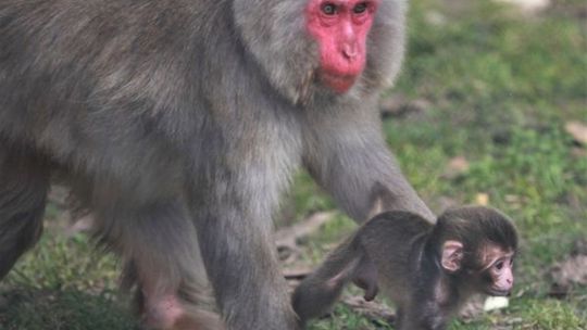 Maluchy w świętokrzyskim ogrodzie 