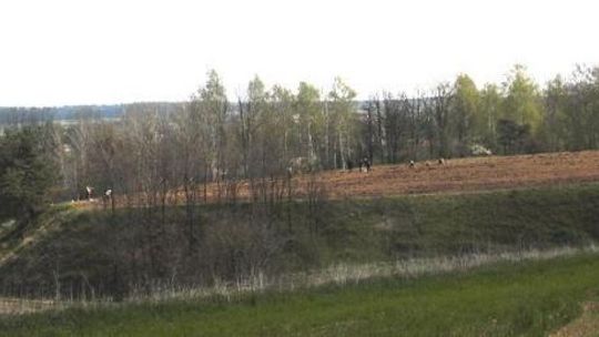 "Mały Gawroniec" oficjalnie zabytkiem