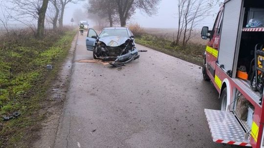 Matka z dwójką dzieci w aucie uderzyła w drzewo