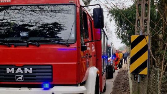 Mężczyznę przygniotło drzewo