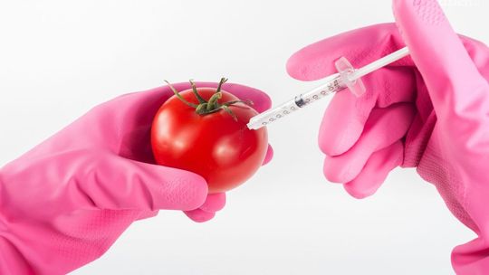 Międzynarodowy Dzień Opozycji przeciwko GMO