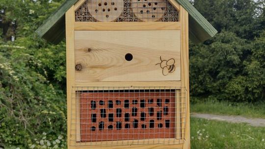 Miejskie skwery z hotelami… dla owadów