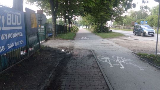 Mieszkańcy Kielc są oburzeni wycinką kasztanowców przy ulicy Bohaterów Warszawy