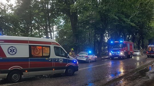 Mieszkaniec pow. skarżyskiego rażony piorunem