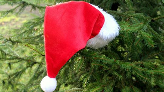 Mikołajkowe szaleństwo w Górnie 