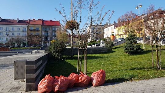 MILENA GAWĄD - kwiaty zeszły z wybiegu