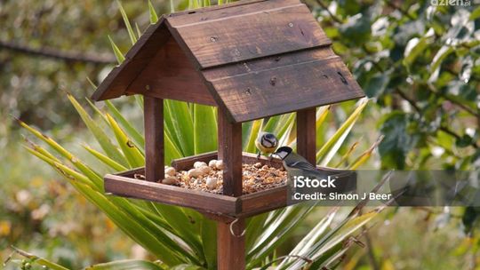 Mini-granty dla ostrowieckich grup nieformalnych 