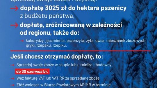 Minister rolnictwa apeluje: Rolniku! Sprzedaj swoje zboże przed żniwami i uzyskaj dopłatę