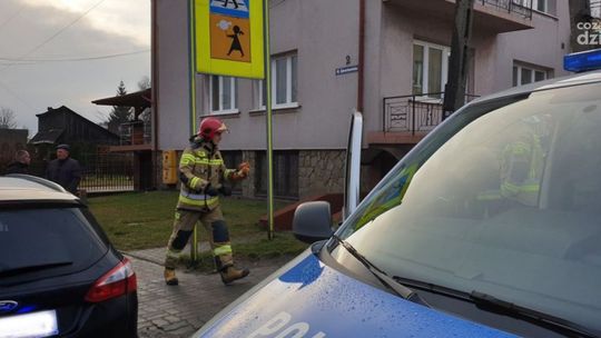 Miś "Ratownik" interweniował przy wypadku