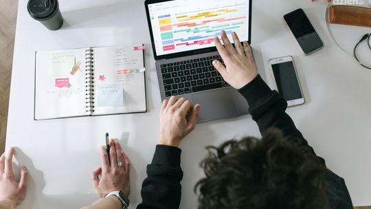 Młode świętokrzyskie firmy z najwyższym odsetkiem przeżywalności pierwszego roku działalności