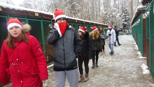 Młodzi ostrowczanie chcą łatwiejszego dostępu 
do schroniska dla bezdomnych zwierząt 