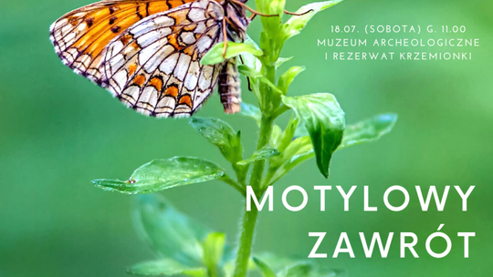 Motylowy zawrót głowy 