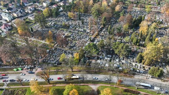 Mur Cmentarza Wojsk Polskich przy ul. Ściegiennego zostanie wyremontowany