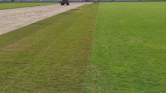 Murawa na Suzuki Arenie już wymieniona