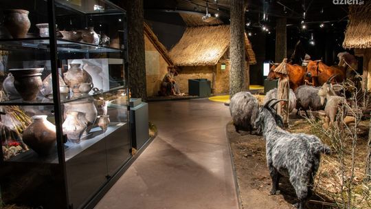 Na Krzemionkach zainaugurowano Europejskie Dni Archeologii 