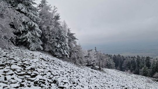 Na wędrówkę po Świętokrzyskim Parku Narodowym lepiej się na razie nie wybierać