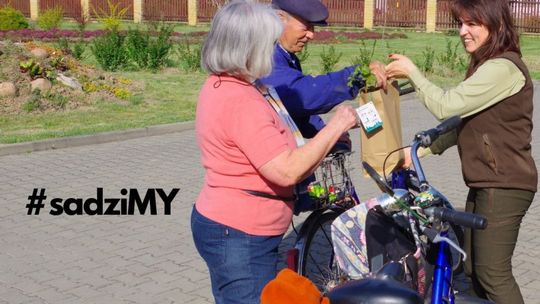 Nadleśnictwo rozdaje sadzonki