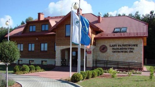 Nadleśniczy Nadleśnictwa Ostrowiec odwołany 