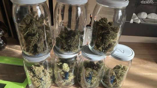 Narkotyki w mieszkaniu 29-latka. Grozi mu do 10 lat więzienia