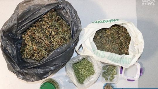 Narkotykowe zatrzymanie na ternie gminy Dwikozy