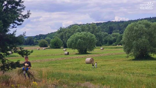 Nastolatka z gminy Ćmielów funduje tablicę edukacyjną i promuje ochronę dziedzictwa naturalnego 